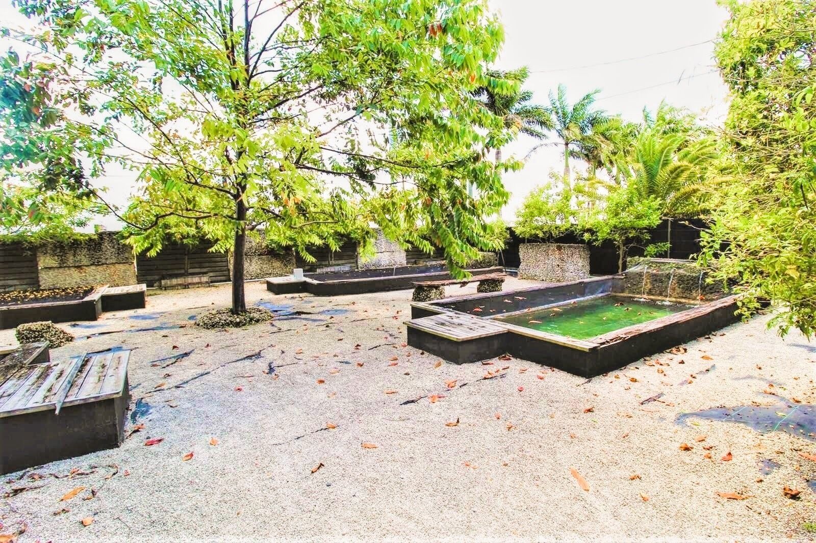 Un jardin agrémenté d’un bassin à carpes koï, de bancs en bois et de différentes espèces d’arbres.