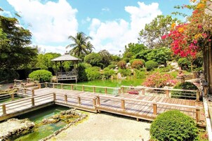 Japanese garden