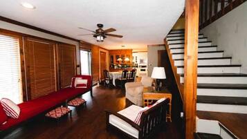 TV connectée, cheminée, lecteur de DVD, livres