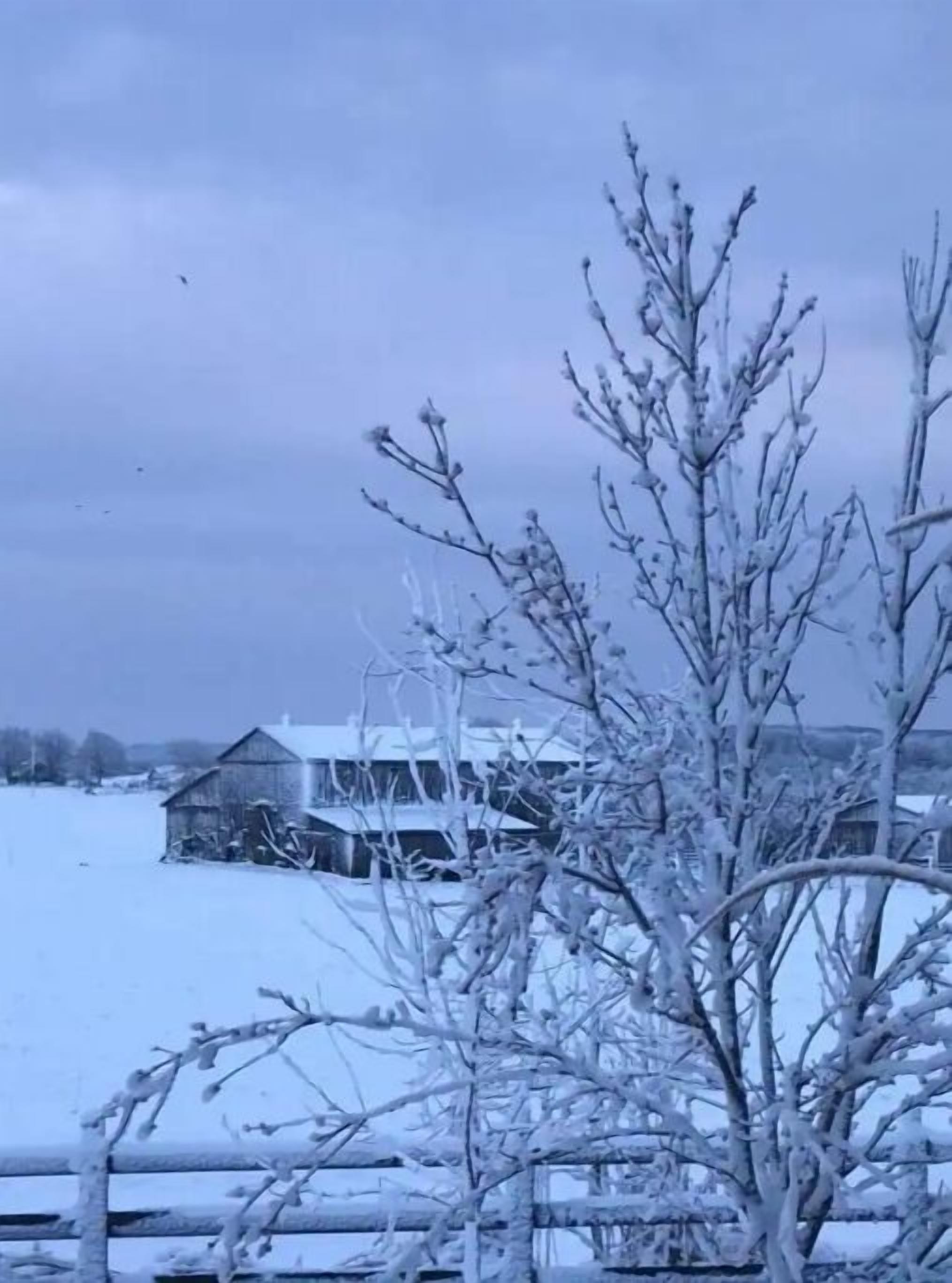 A snow-covered landscape with a rustic barn and bare trees.