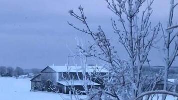 A snow-covered landscape with a rustic barn and bare trees.