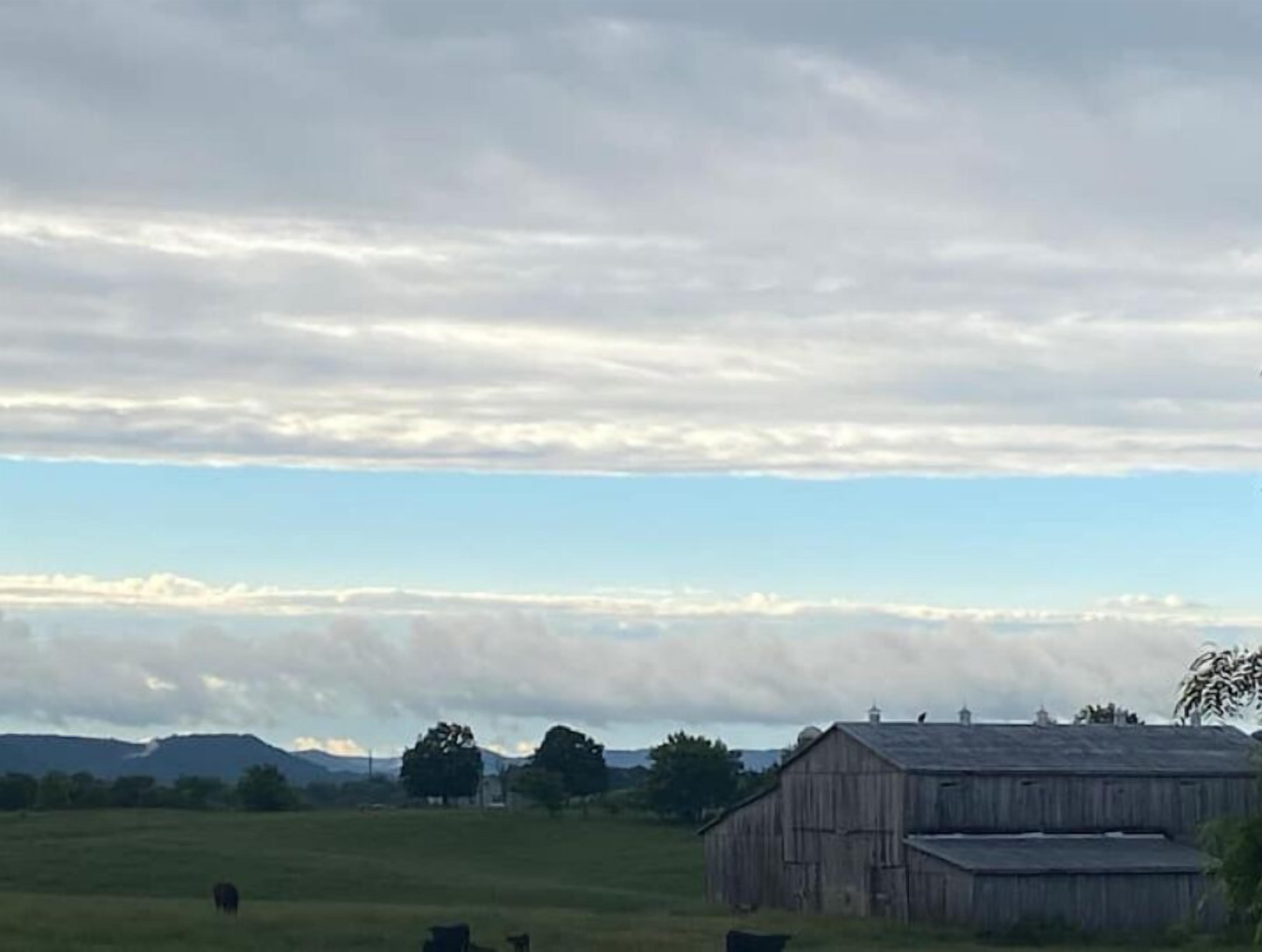 Ländliche Landschaft mit Scheune und weidenden Kühen.