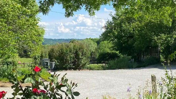 A gravel driveway leading to a wooden fence, surrounded by lush greenery and flowering plants.