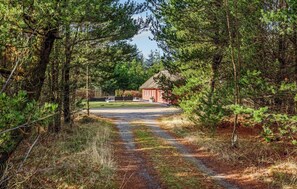 Escape to a secluded retreat surrounded by dense coniferous trees and a tranquil atmosphere.