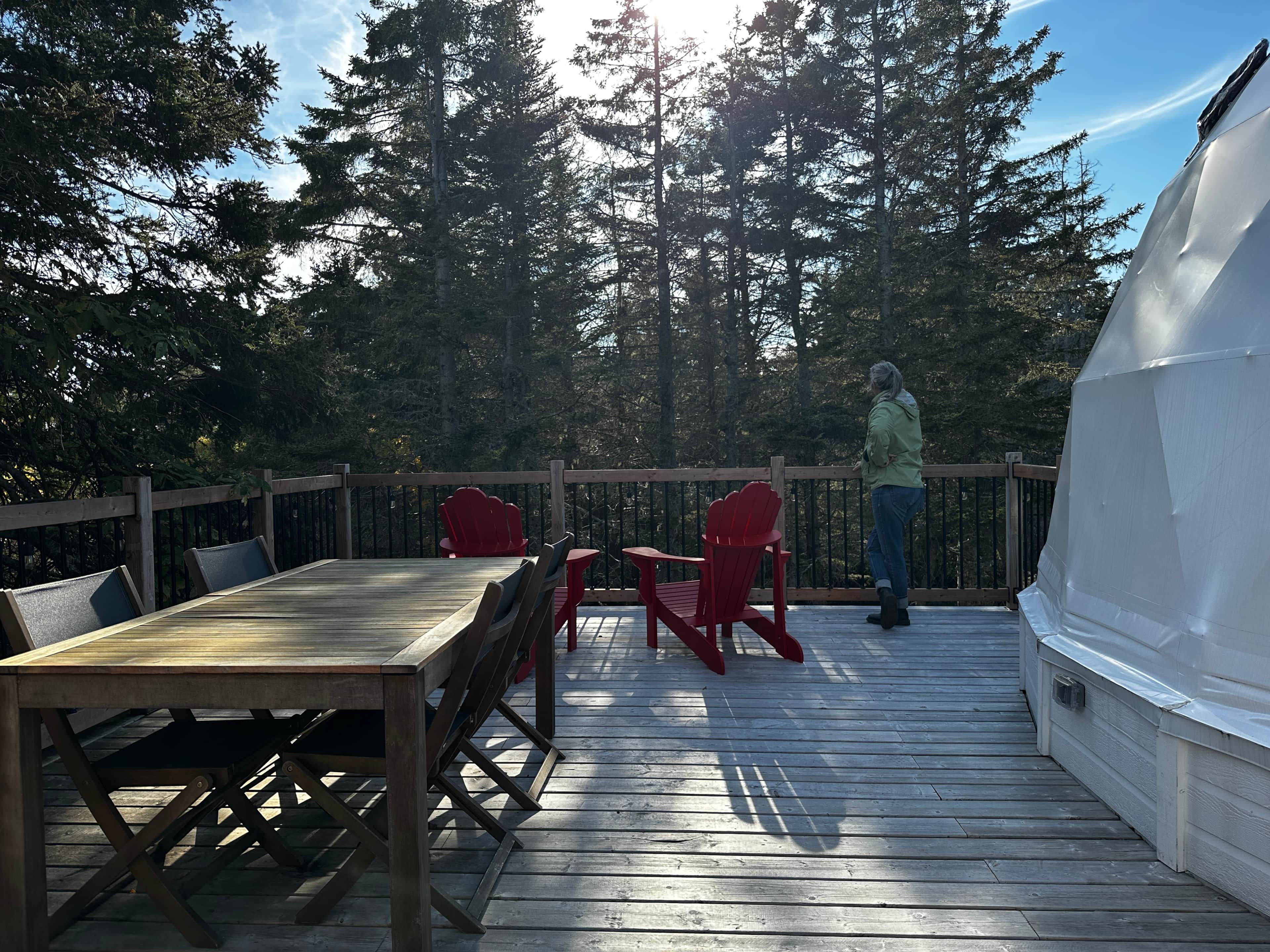 A wooden deck with a table and chairs, overlooking a forested area.