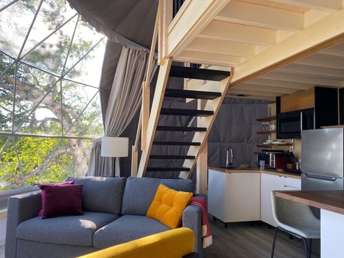 Dome #1 forested at Domaine Renard