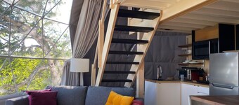 Dome #1 forested at Domaine Renard