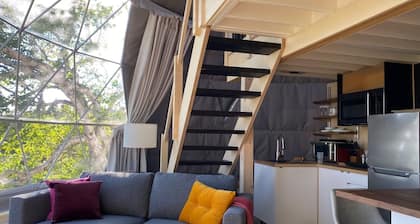 Dome #1 forested at Domaine Renard