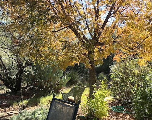 Verde River Hilltop Gem - Tranquil, artistic and close to everything