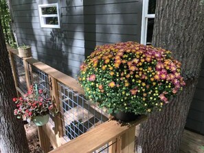 Enjoy a peaceful retreat with a balcony featuring a potted flowering plant.
