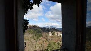 Blick aus einem Fenster mit Balkon auf ein Tal mit Gebäuden und Bäumen.