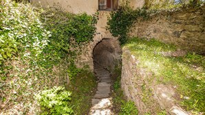Ein schmaler Steinweg führt durch eine rustikale Steinmauer, umgeben von üppiger Vegetation und einer Holztür am Ende.