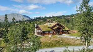 Uklassifisert bilde, 4 av 29, knapp