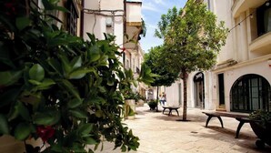 A narrow street with buildings on either side, a bench, and a tree in the center.