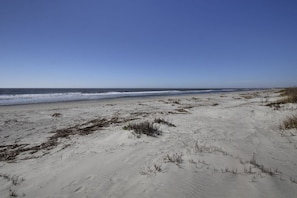 A sandy beach with sparse vegetation and a clear blue sky. - 12 42nd Avenue by Avantstay 2 Mins To The Beach Screened In Porch! (Isle of Palms)