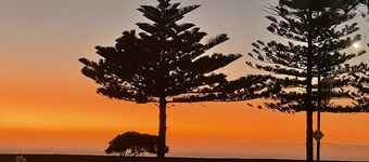 Ocean Front Studio Napier