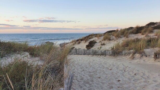 Strand