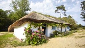 Ein rustikales Haus mit einem Strohdach, umgeben von üppigem Grün und blühenden Pflanzen.