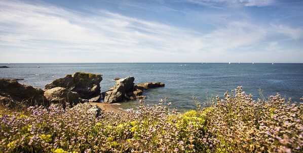 Strand