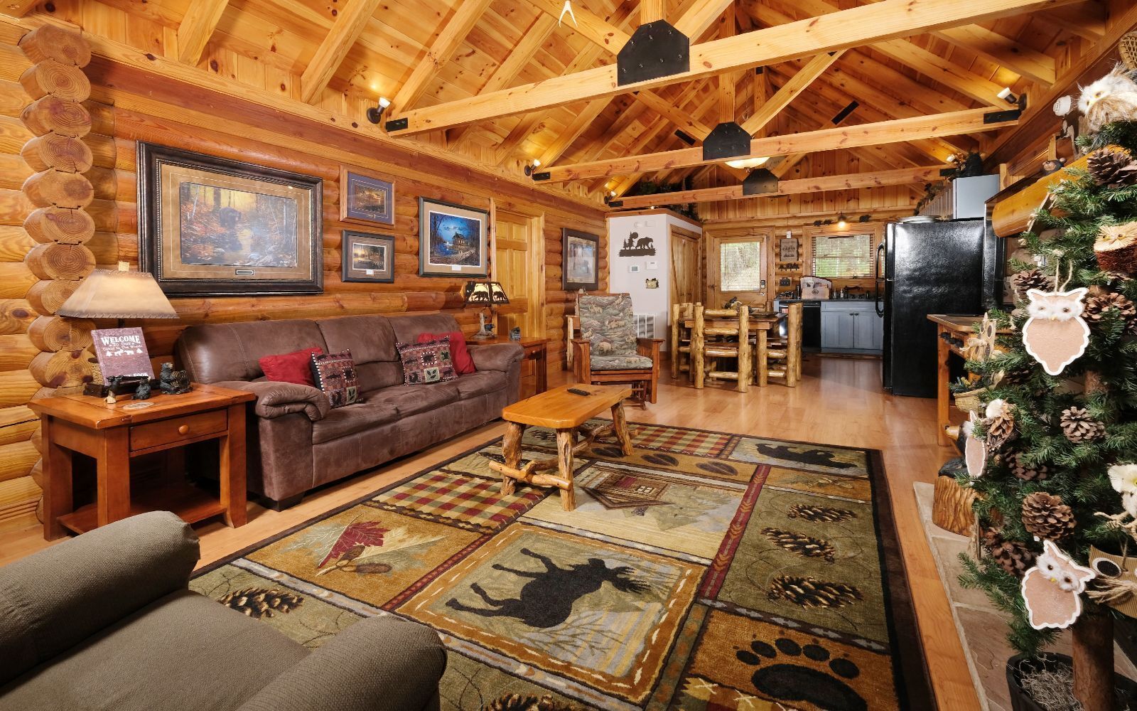 TV, fireplace, books