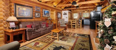 Téléviseur, foyer, livres