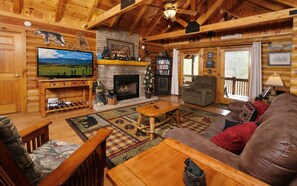 Televisión, chimenea y libros 