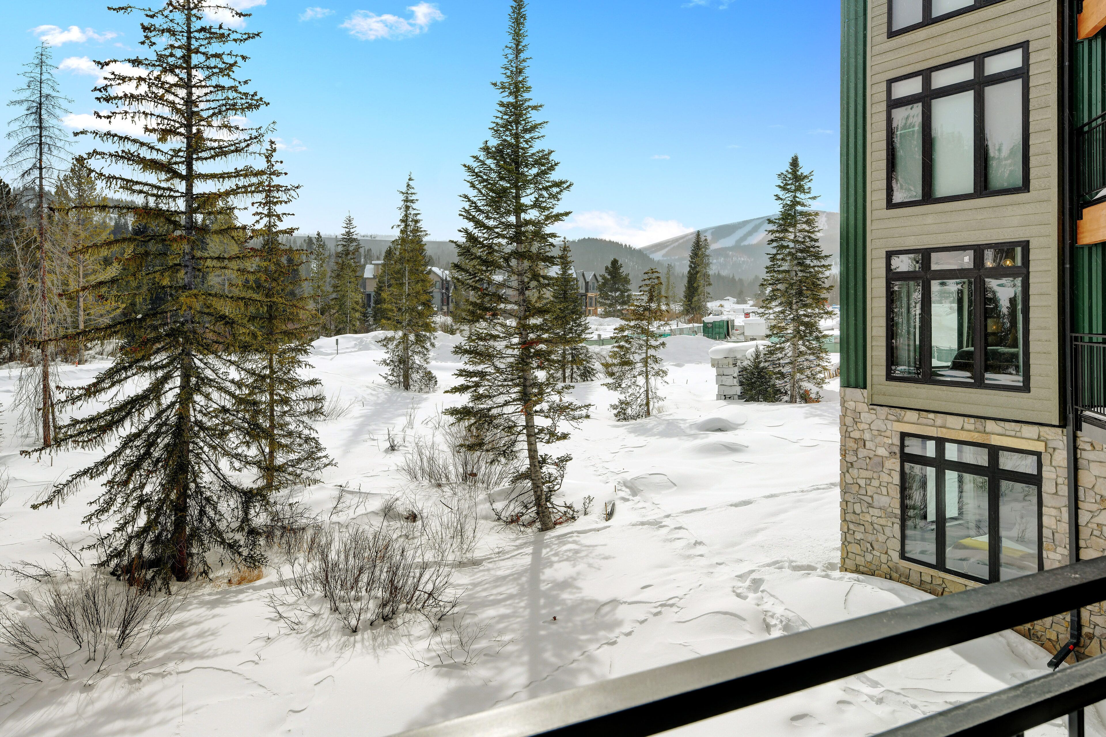 A snow-covered landscape with tall evergreen trees and a building with large windows.