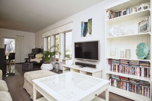 Tv, eldstad, dvd-spelare och en stereo