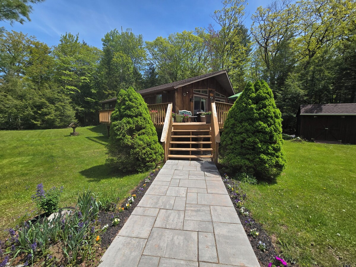 Imagen de perfil del propietario o de la propietaria