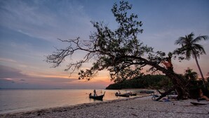 A beach with boats and a tree. - Villa Lipa Talay Sawng (Koh Samui)