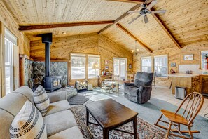 Televisión, chimenea y libros 