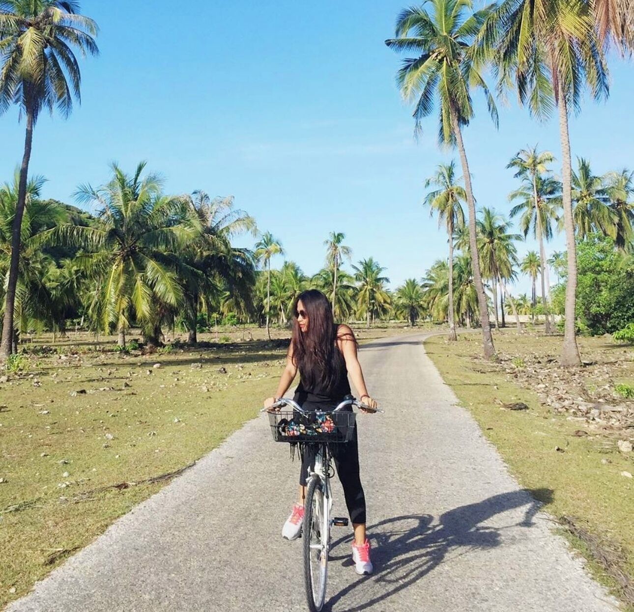 A person riding a bicycle on a paved path surrounded by palm trees.