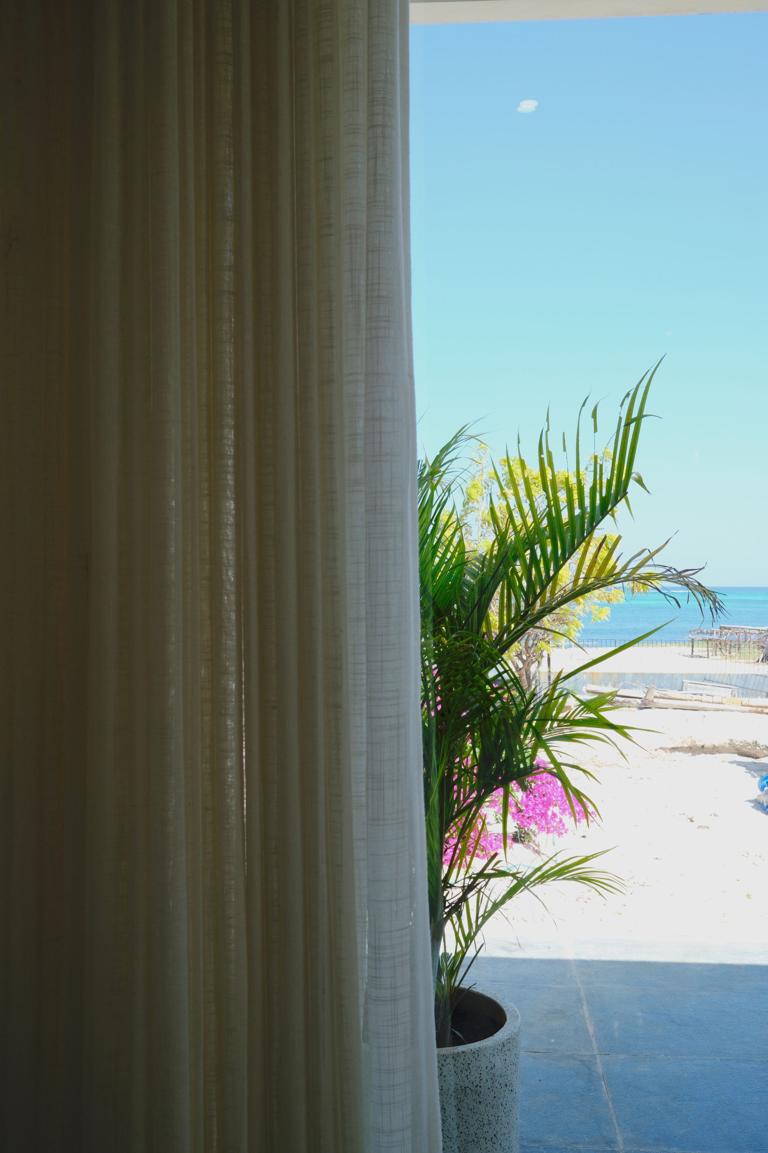 A window with sheer curtains, a potted plant, and a view of a beach with a clear sky.