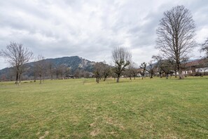 Ein grünes Feld mit Bäumen und einem Berg im Hintergrund.