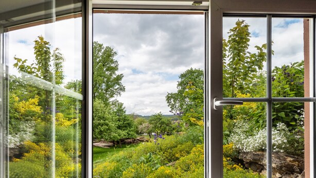 Ein Fenster mit Blick auf einen Garten mit verschiedenen Pflanzen und Bäumen.