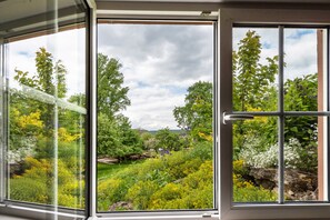 A window with a view of a garden with various plants and trees.