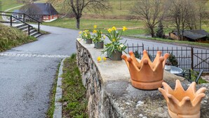 Un camino rural con un muro de piedra, plantas en macetas y una valla de metal.