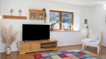 Televisión y chimenea