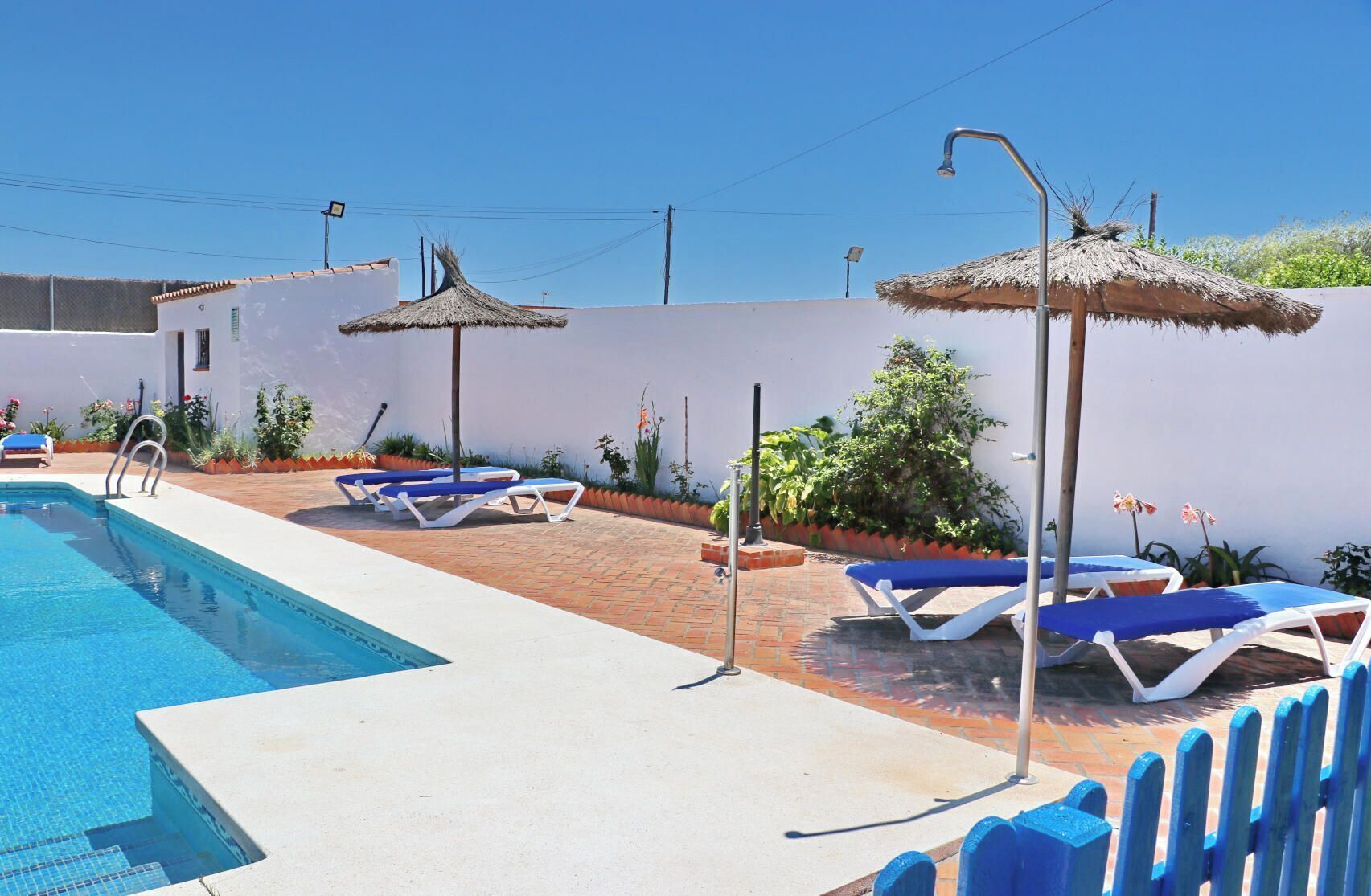 Une piscine entourée d’un mur blanc et de plantes, avec des chaises longues et des parasols.