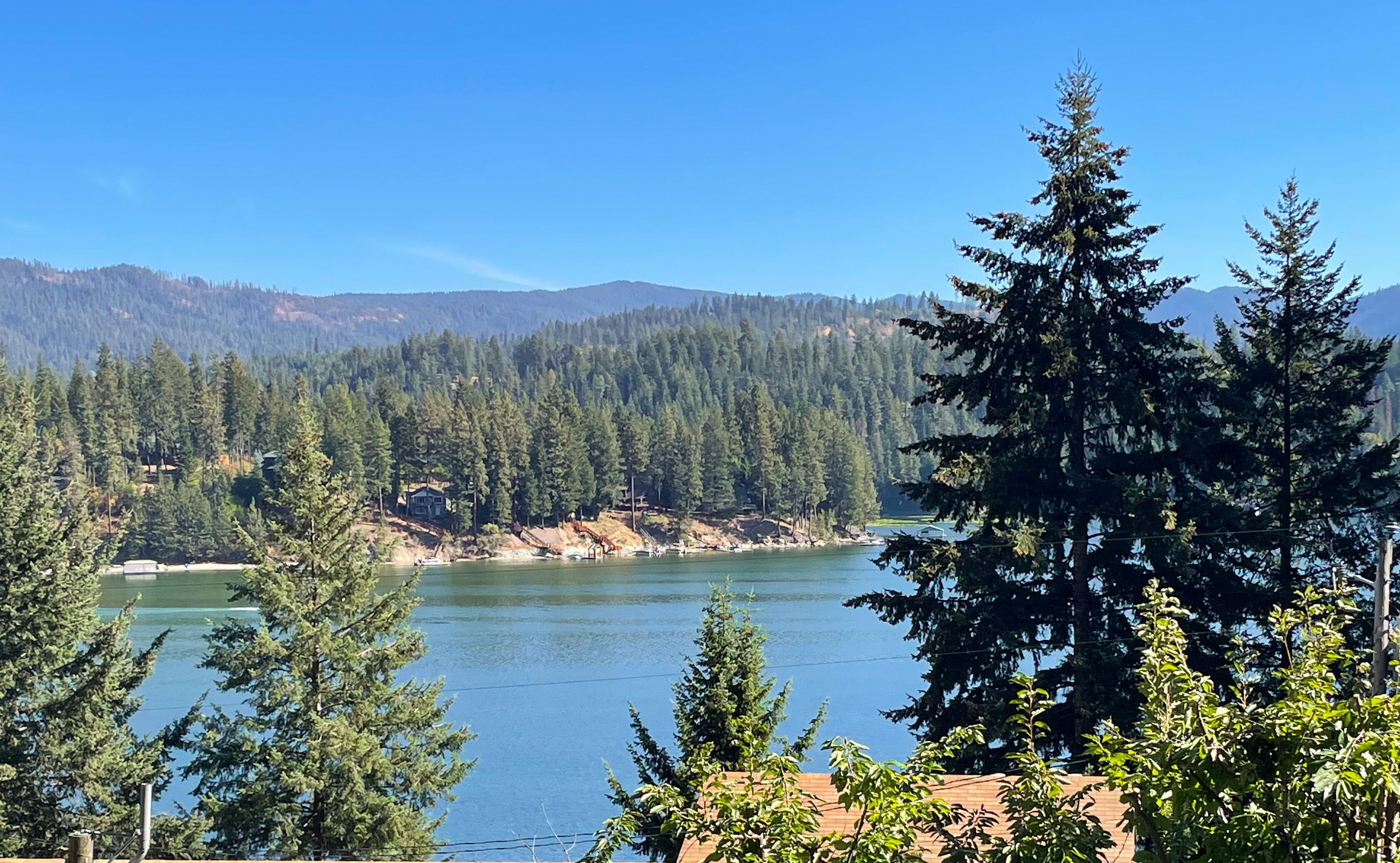 A lake surrounded by dense forest and mountains.