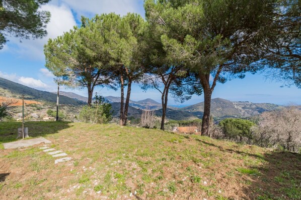 A grassy hillside with a stone pathway leading up, surrounded by tall pine trees and a mountainous backdrop.