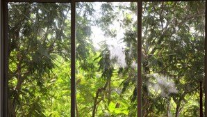 Una habitación con un amplio ventanal con vistas a un bosque frondoso.