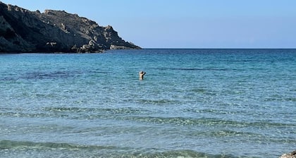 Maison 200M2 au calme avec piscine sécurisée Ponte leccia