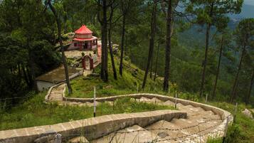 Land view from property
