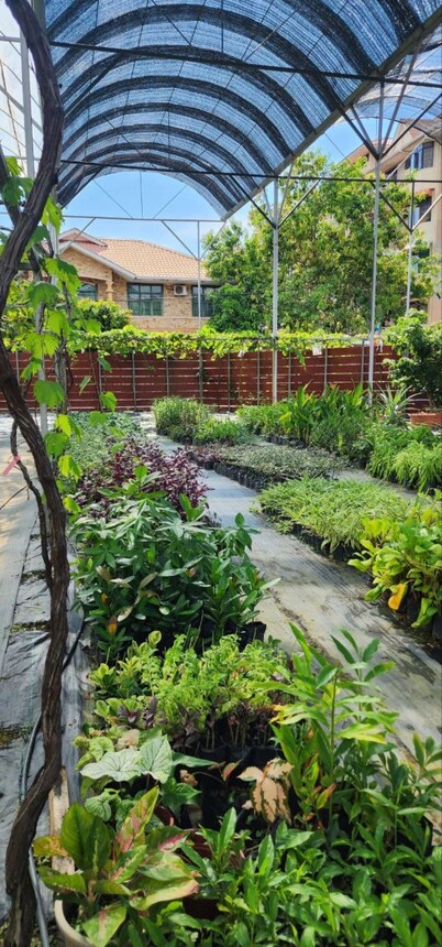 Grapevine Garden