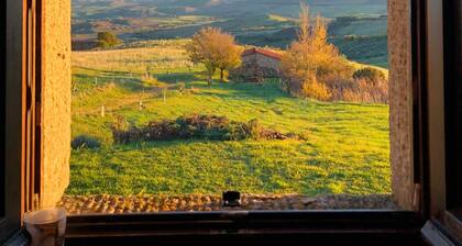 Poggio Bicchieri Farmhouse - Val d'Orcia Memory Apartment