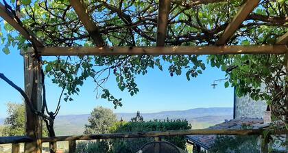 Poggio Bicchieri Farmhouse - Val d'Orcia Memory Apartment