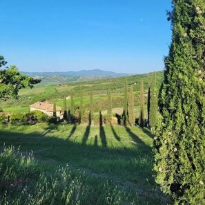 Property grounds - Poggio Bicchieri Farmhouse - Val d'Orcia Memory Apartment (Castiglione d'Orcia)