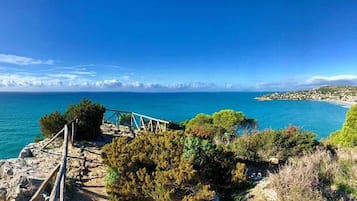 Un paisaje costero con una escalera de madera que baja a la playa, rodeado de vegetación y con vista al mar.