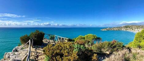 Un paisaje costero con una escalera de madera que baja a la playa, rodeado de vegetación y con vista al mar.